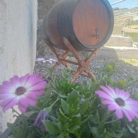 הוילה Güimar Casita Rural Y Casa Cueva El Perucho מראה חיצוני תמונה