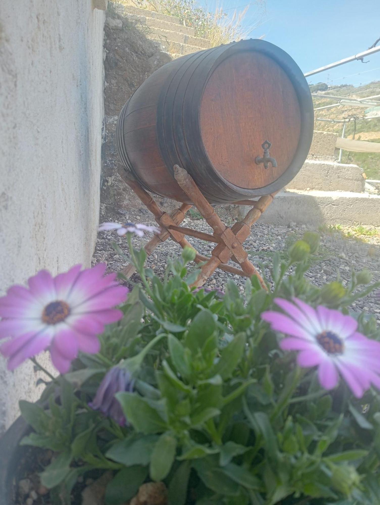 הוילה Güimar Casita Rural Y Casa Cueva El Perucho מראה חיצוני תמונה