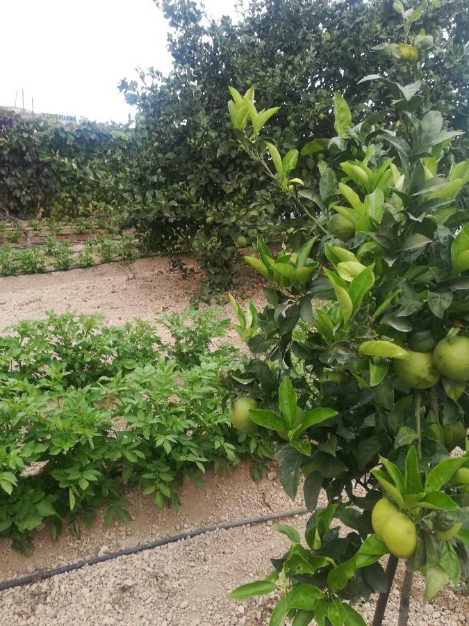 הוילה Güimar Casita Rural Y Casa Cueva El Perucho מראה חיצוני תמונה
